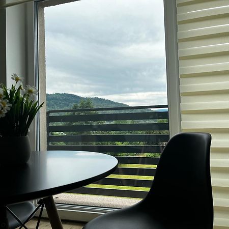 Beskid Rest Apartments Żywiec المظهر الخارجي الصورة