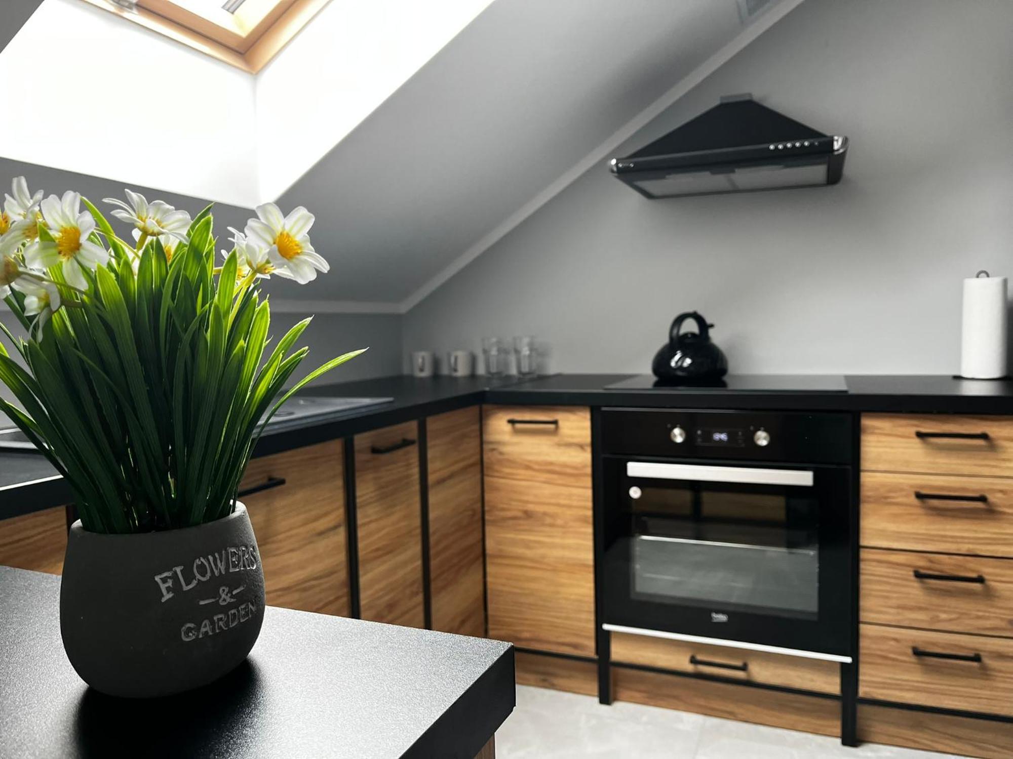 Beskid Rest Apartments Żywiec المظهر الخارجي الصورة
