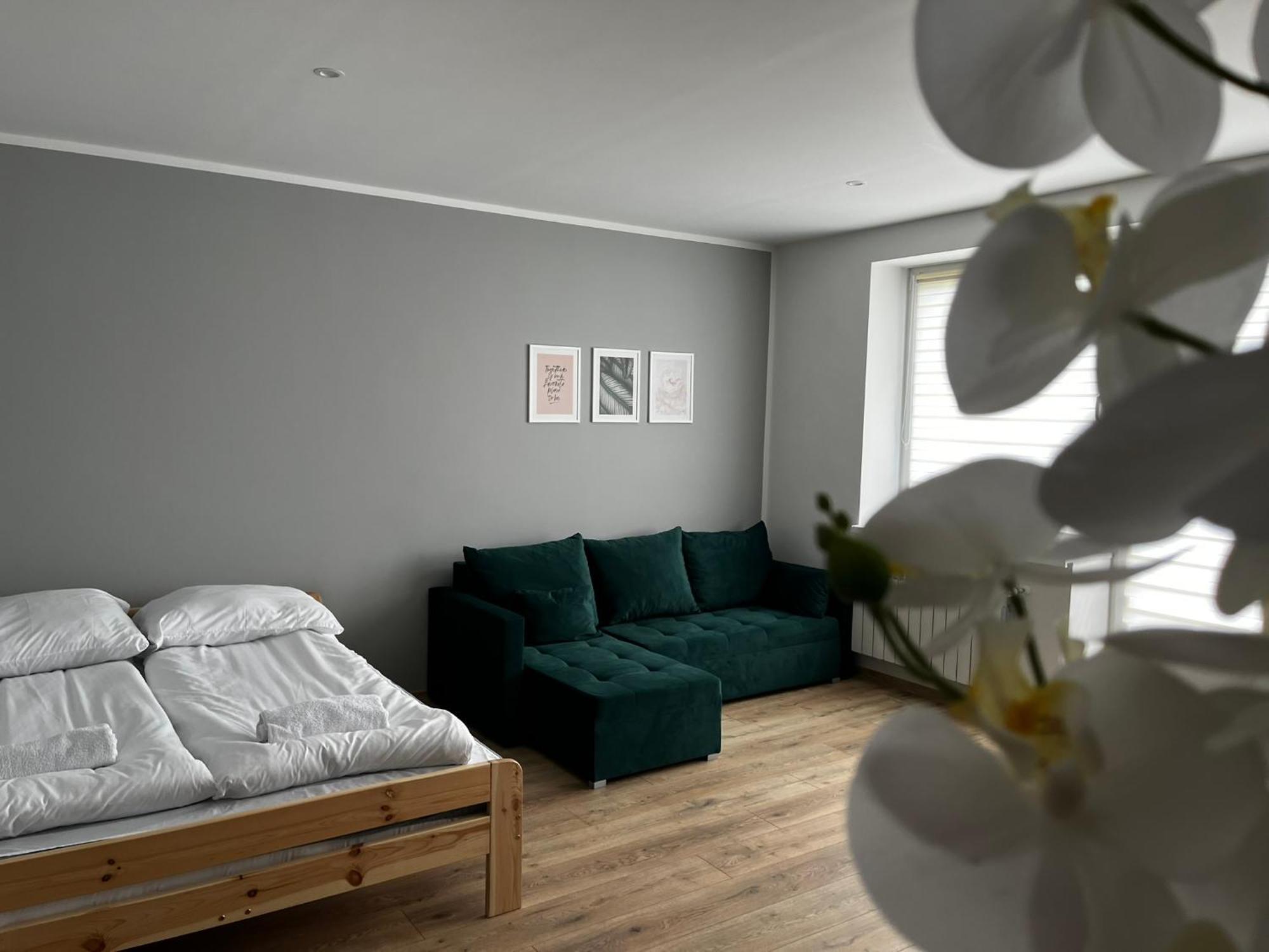 Beskid Rest Apartments Żywiec المظهر الخارجي الصورة