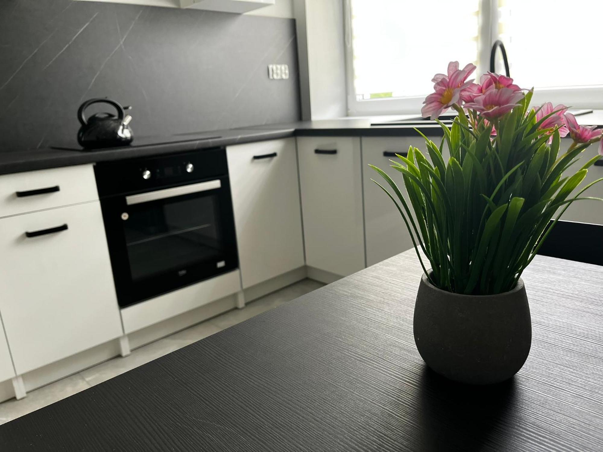 Beskid Rest Apartments Żywiec المظهر الخارجي الصورة
