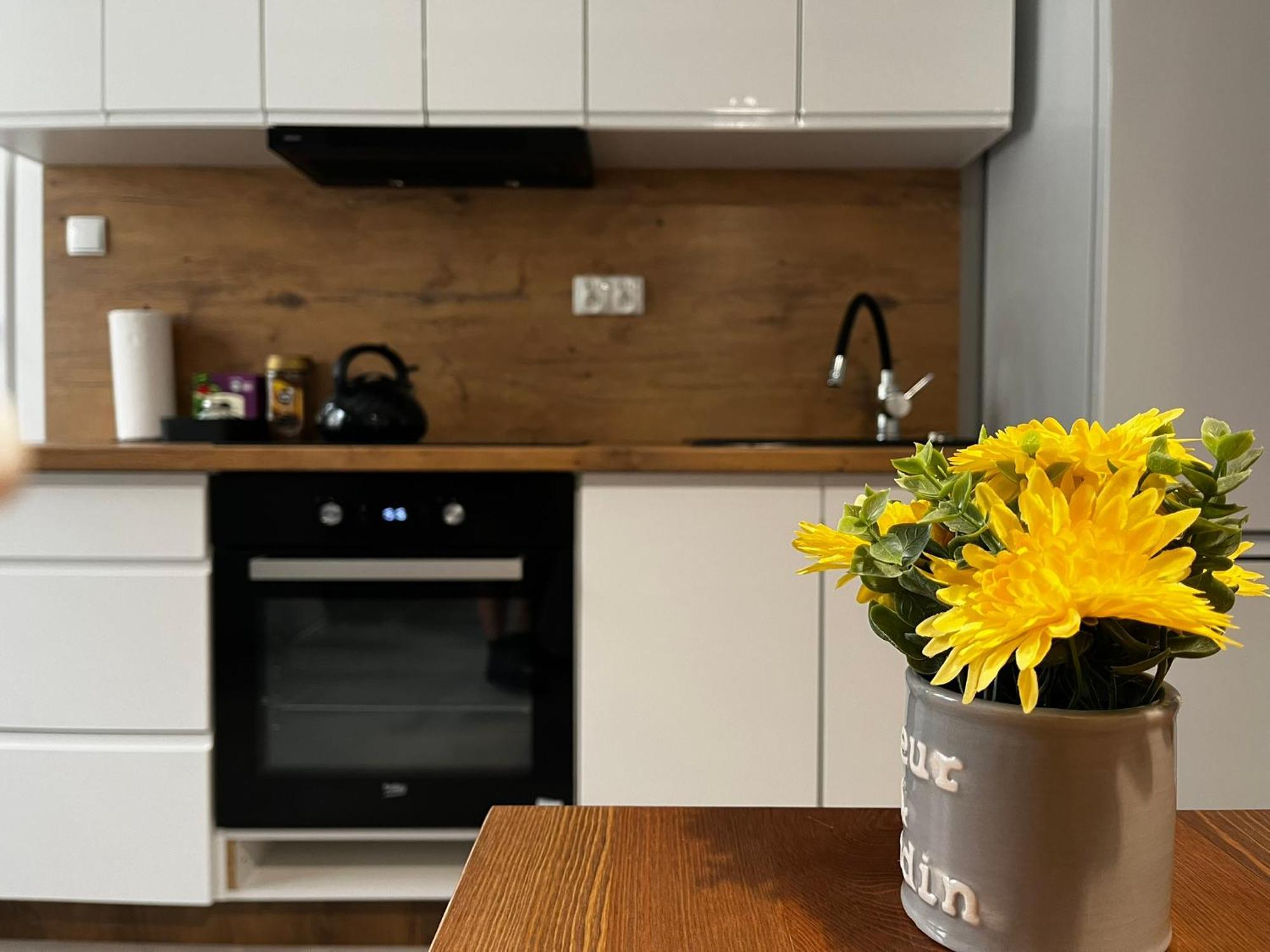 Beskid Rest Apartments Żywiec المظهر الخارجي الصورة