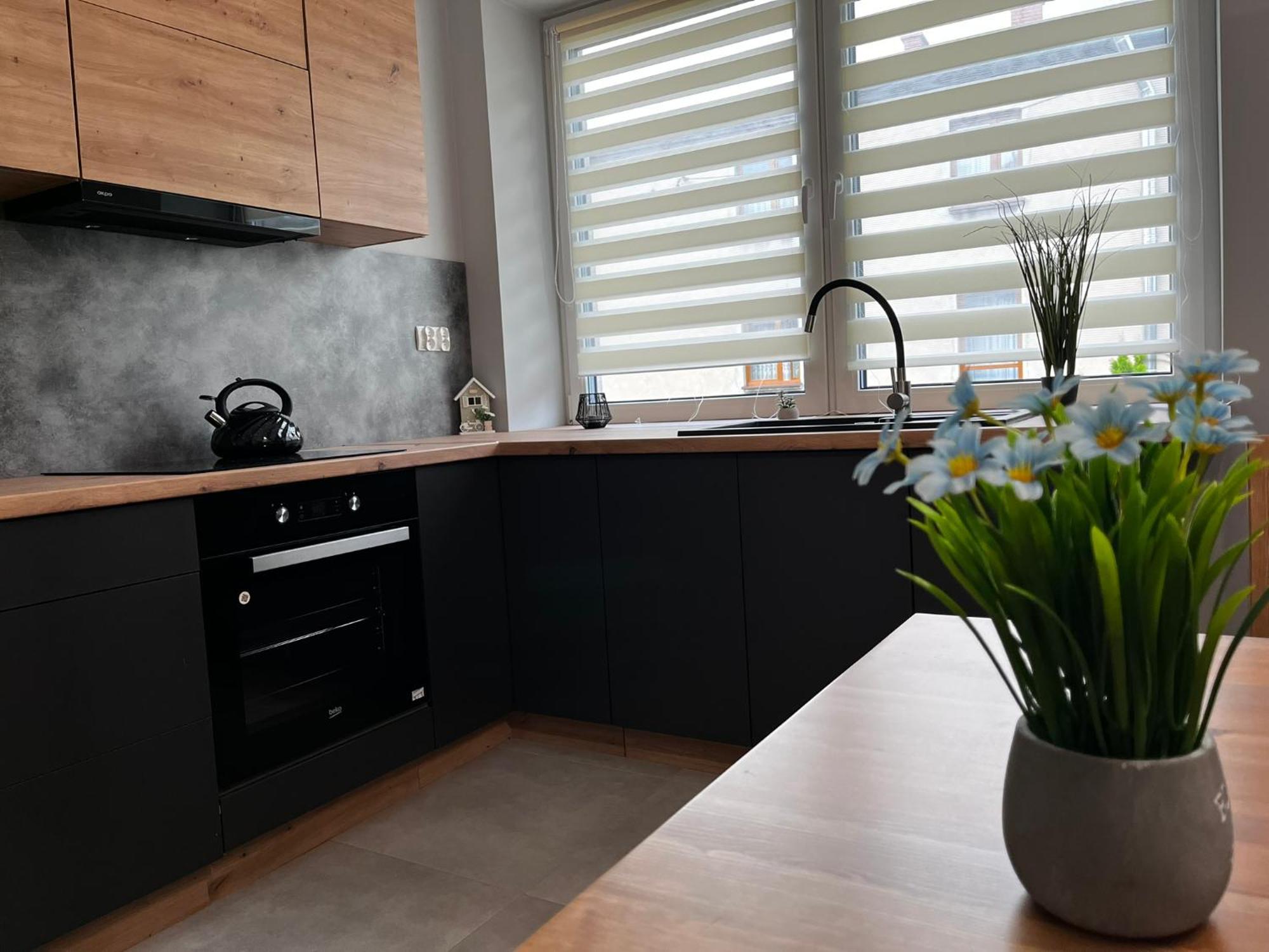 Beskid Rest Apartments Żywiec المظهر الخارجي الصورة
